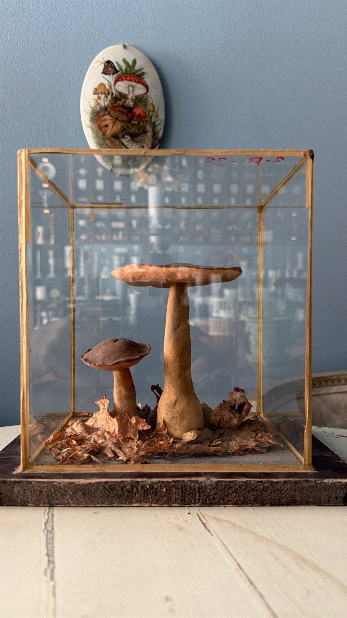 Bohemian Natural History Diorama IV: Woodland Mushroom Specimen - Bon Ton goods