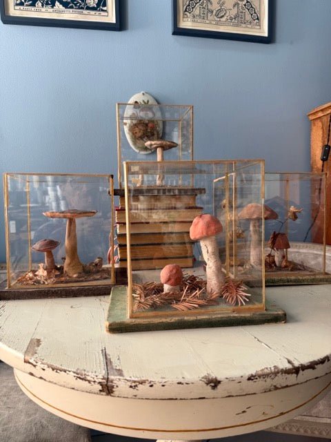 Bohemian Natural History Diorama IV: Woodland Mushroom Specimen - Bon Ton goods