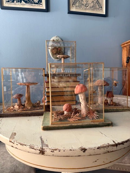 Bohemian Natural History Diorama IV: Woodland Mushroom Specimen - Bon Ton goods
