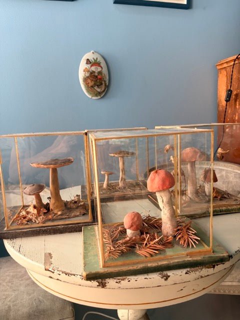 Bohemian Natural History Diorama IV: Woodland Mushroom Specimen - Bon Ton goods