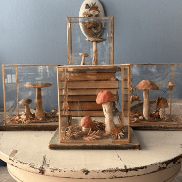Bohemian Natural History Diorama IV: Woodland Mushroom Specimen - Bon Ton goods