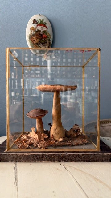 Bohemian Natural History Diorama IV: Woodland Mushroom Specimen - Bon Ton goods