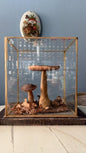 Bohemian Natural History Diorama IV: Woodland Mushroom Specimen - Bon Ton goods