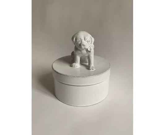 BOîTE DE CHIEN - Bon Ton goods