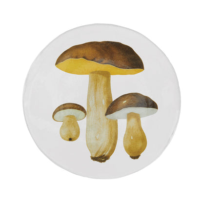 John Derian Bolet Comestible Dinner Plate, set of 6 by Astier de Villatte, official product view