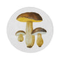 John Derian Bolet Comestible Dinner Plate, set of 6 by Astier de Villatte, official product view