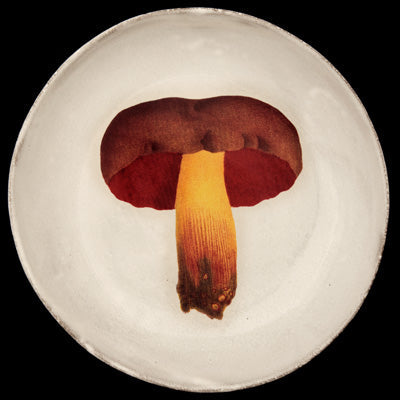 John Derian Bolet Pernicieux by Astier de Villatte
