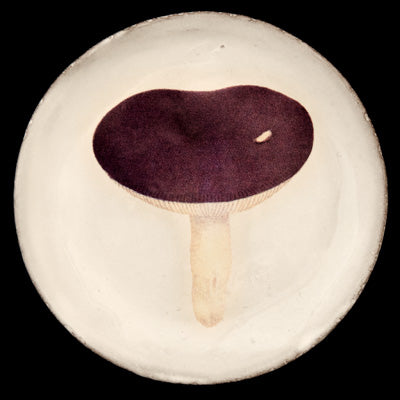 John Derian Small Agaric Emetique Plate by Astier de Villatte