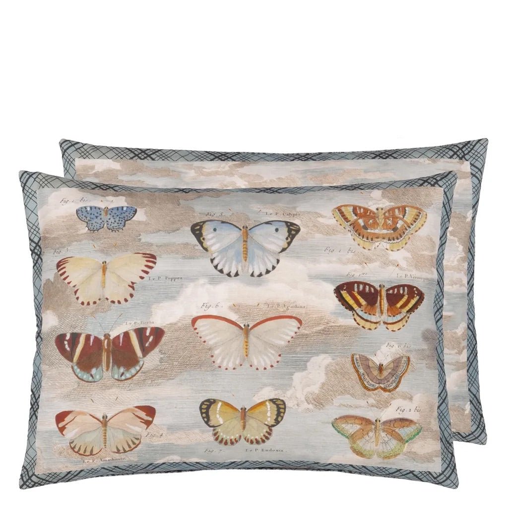 Butterfly Studies - Parchment Cushion | John Derian - Bon Ton goods