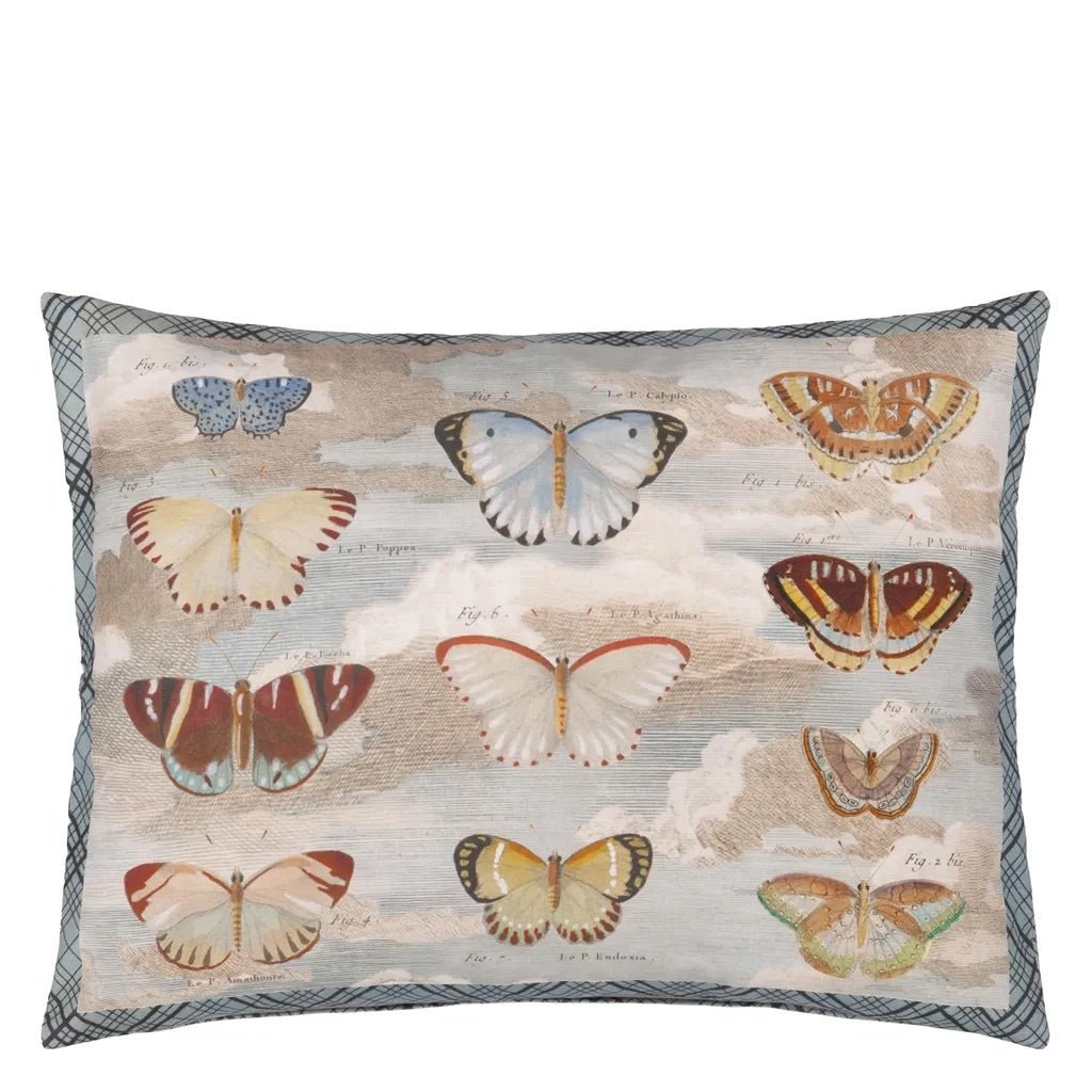 Butterfly Studies - Parchment Cushion | John Derian - Bon Ton goods