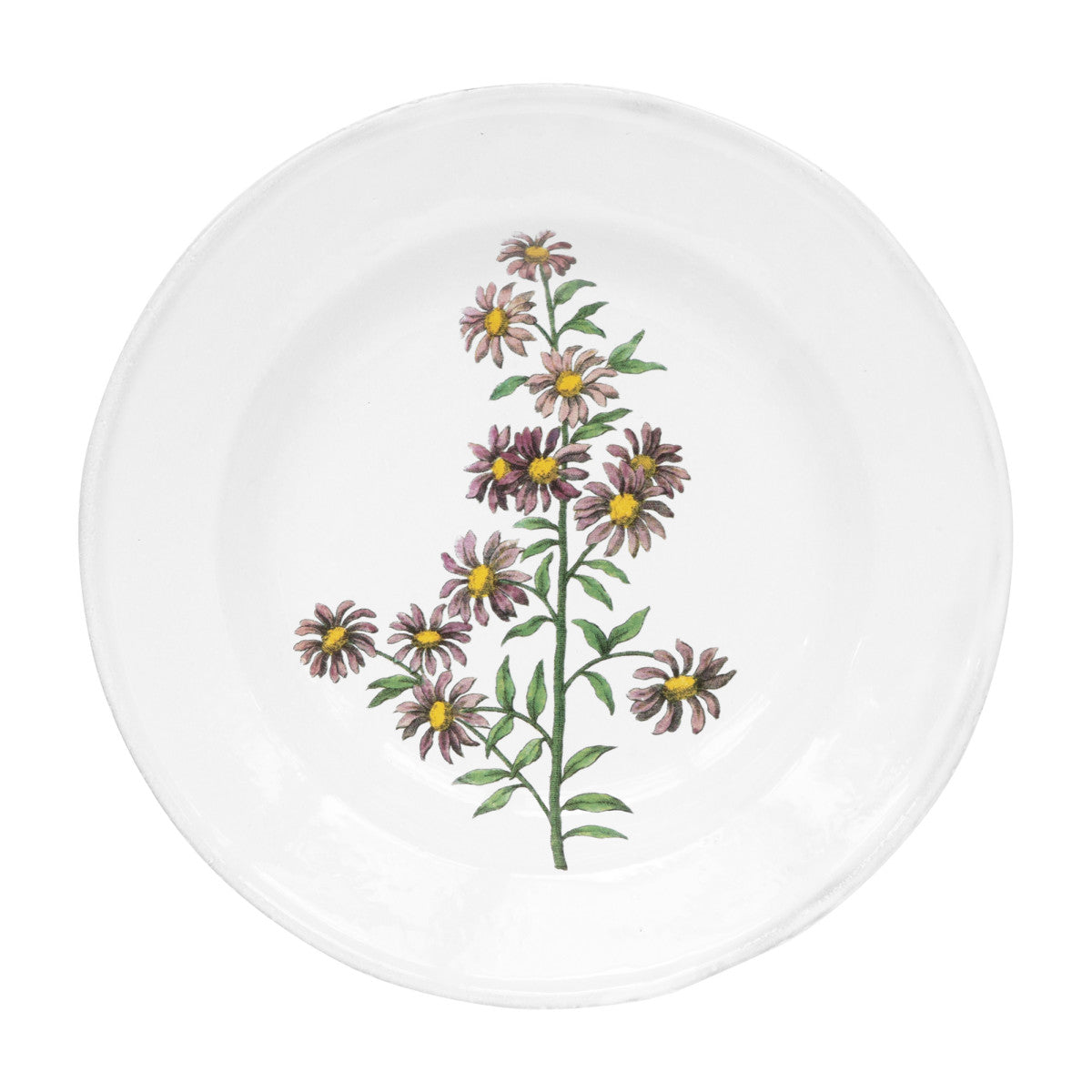 John Derian Carolina Star Flower Soup Plate, set of 6 by Astier de Villatte, official product view