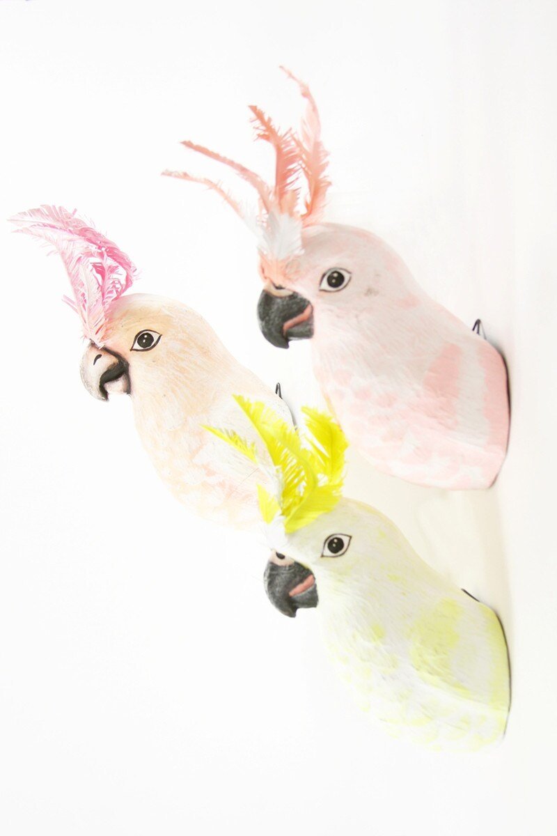 Carved Parrot Plaques - Bon Ton goods