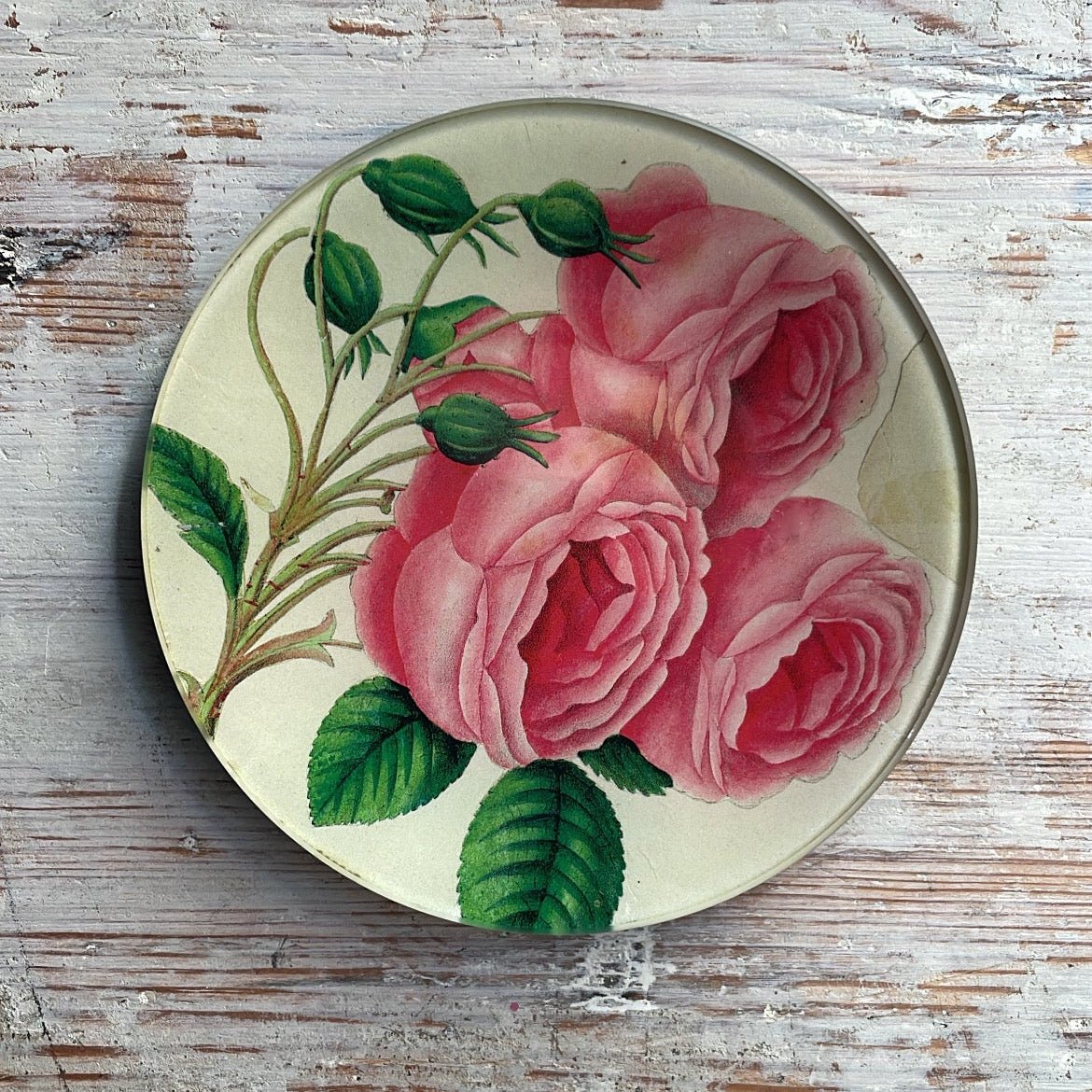 Cascading Rose | John Derian - Bon Ton goods