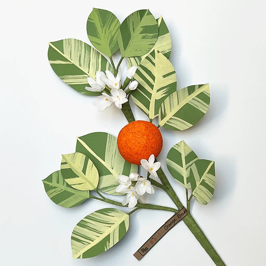 Citrus Branch | The Green Vase - Bon Ton goods