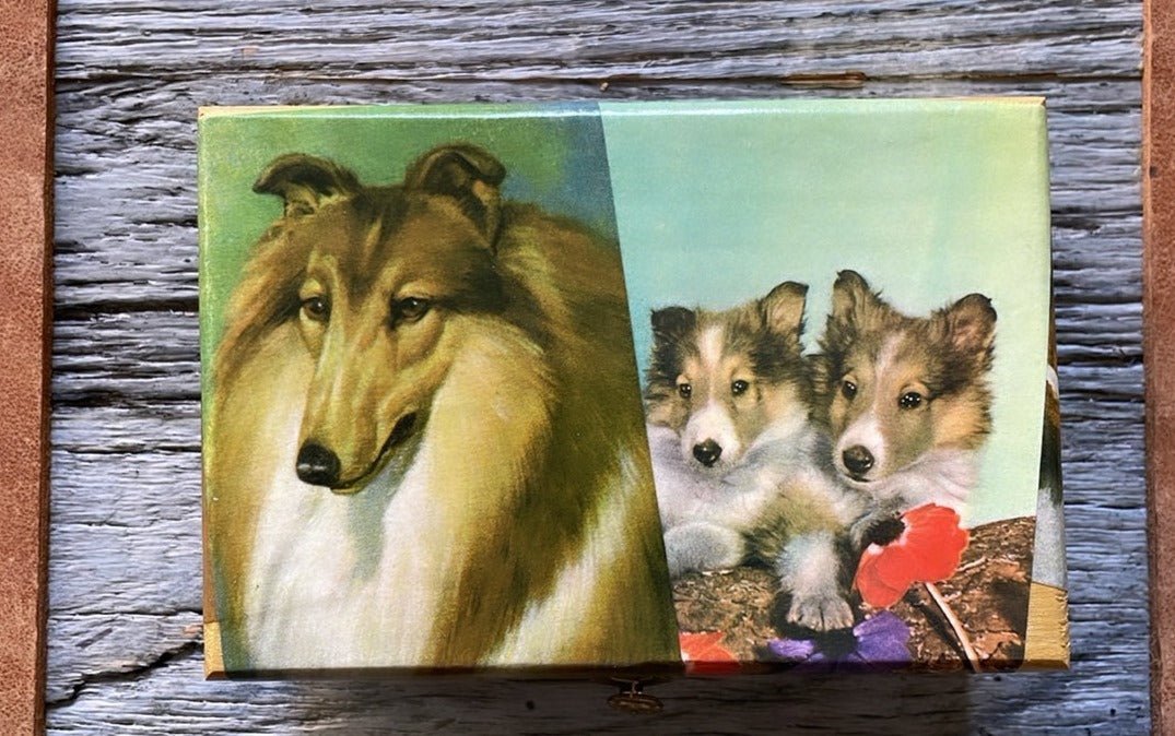 COLLIE DECOUPAGE BOX 1 - MEDIUM - Bon Ton goods
