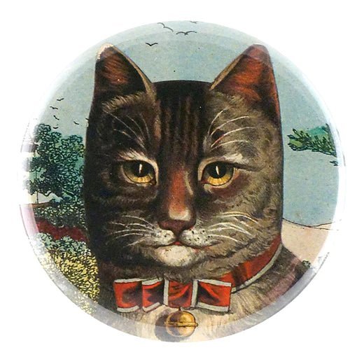 Country Cat - Mirror & Button Pins | John Derian - Bon Ton goods