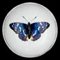 Dark Blue Butterfly Dish - Bon Ton goods