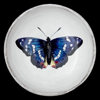 Dark Blue Butterfly Dish | Astier de Villatte - Bon Ton goods