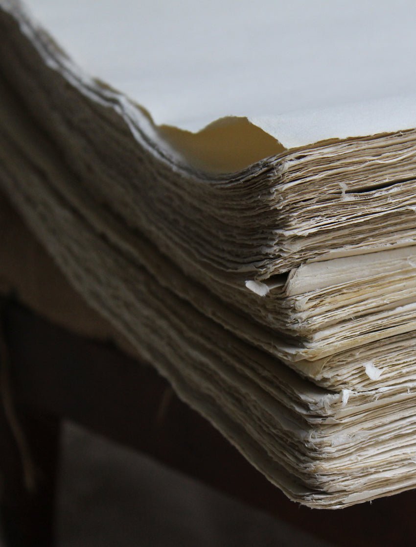 DOMINO PAPER NO. 53B "OEILLETS" - Bon Ton goods