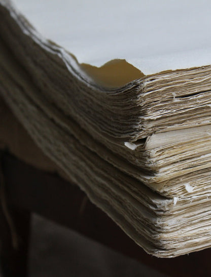 DOMINO PAPER NO. 53B "OEILLETS" - Bon Ton goods