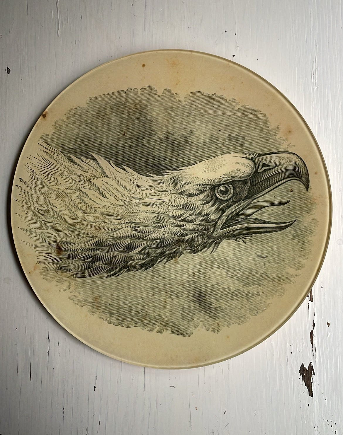 Eagle Portrait | John Derian - Bon Ton goods