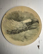 Eagle Portrait | John Derian - Bon Ton goods
