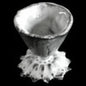 Emilie Egg Cup | Astier de Villatte: Exclusive Pre-Order Item - BON TON goods