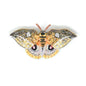 Emperor Automaria Moth Brooch Pin | Trovelore - Bon Ton goods