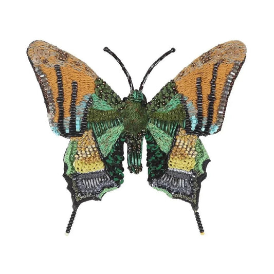 Emperor of India Butterfly Brooch Pin | Trovelore - Bon Ton goods