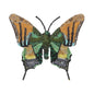 Emperor of India Butterfly Brooch Pin | Trovelore - Bon Ton goods