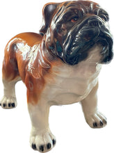 Load image into Gallery viewer, English Bulldog - Bon Ton goods
