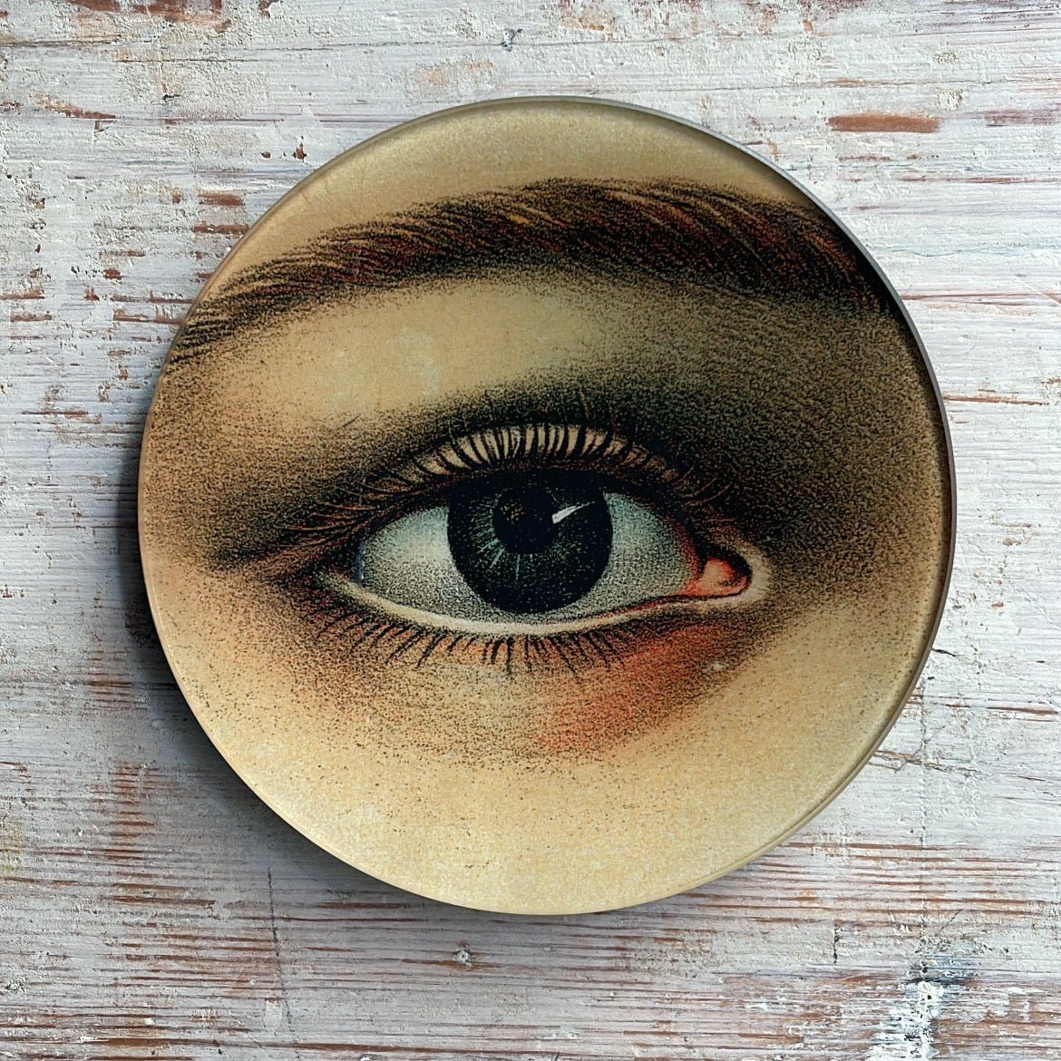 Eye Left | John Derian - Bon Ton goods