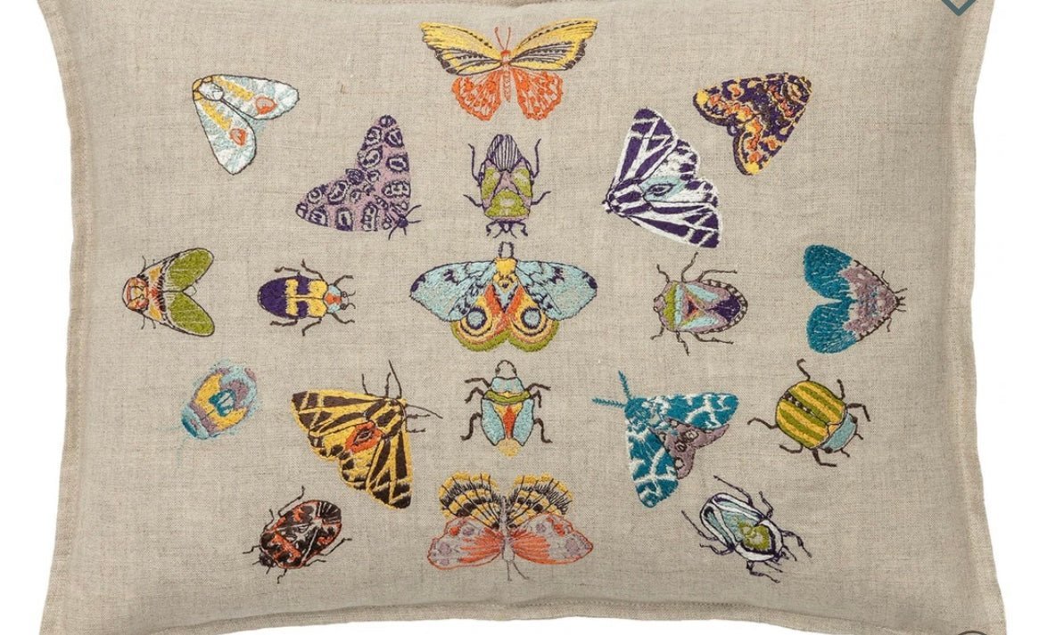 Fancy Flight Pillow | Coral & Tusk - Bon Ton goods