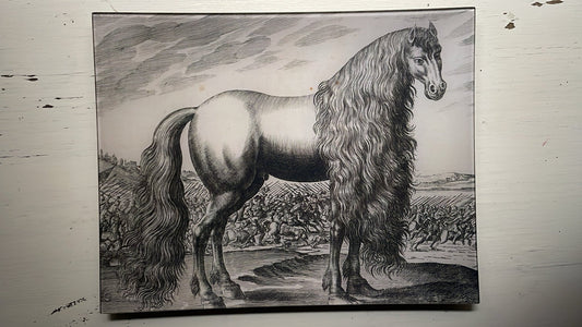 Fantasy Horse (p 270) | John Derian - Bon Ton goods