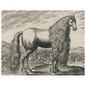 Fantasy Horse (p 270) | John Derian - Bon Ton goods