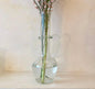 Fiala Transparent - Bon Ton goods