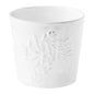 Fleurs Daisy Tumbler, Nathalie Lété, Set of 6 | Astier de Villatte