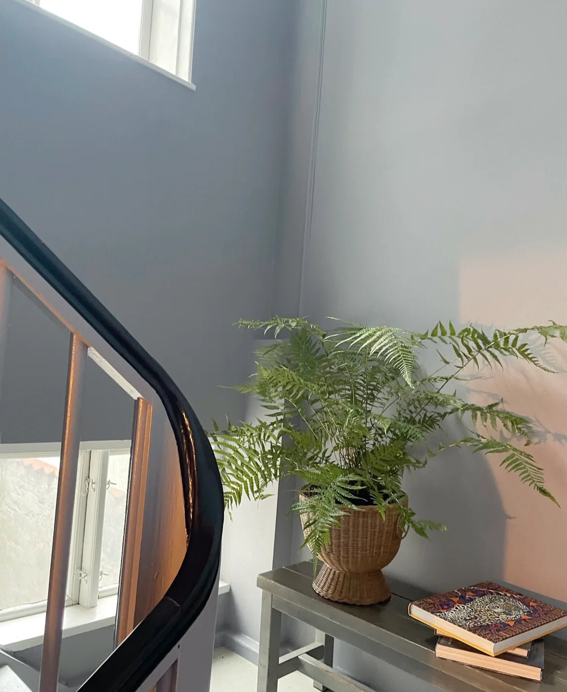 Flower Pot - Bon Ton goods