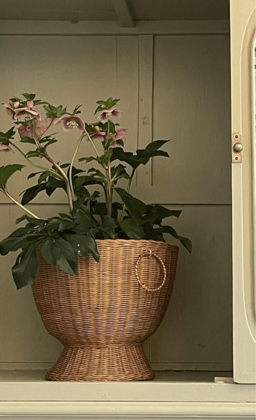 Flower Pot - Bon Ton goods