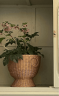 Flower Pot - Bon Ton goods
