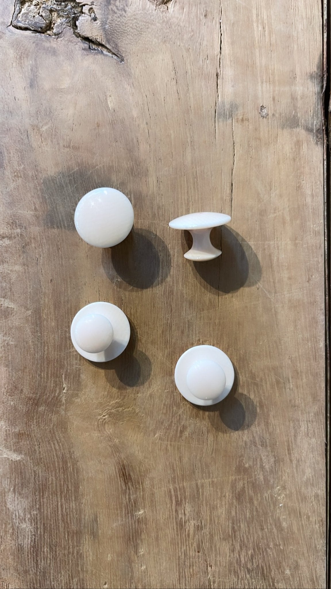 Fossilized Mammoth Ivory Chest Buttons | Ted Muehling - Bon Ton goods