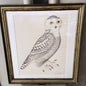 Framed Bird Print – Snowy Owl by Olof Rudbeck the Younger - Bon Ton goods
