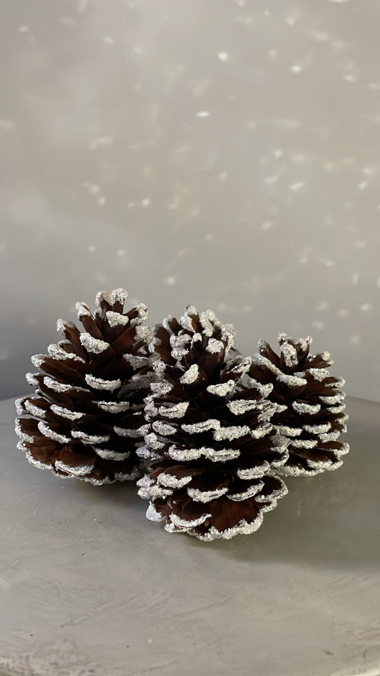 Frosted Glitter Pinecone - Bon Ton goods