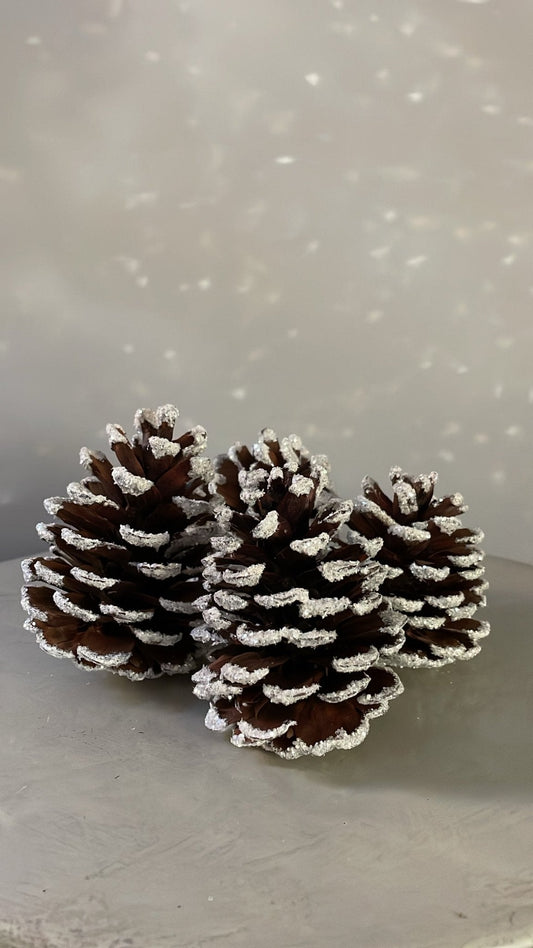Frosted Glitter Pinecone | Ino Schaller - Bon Ton goods