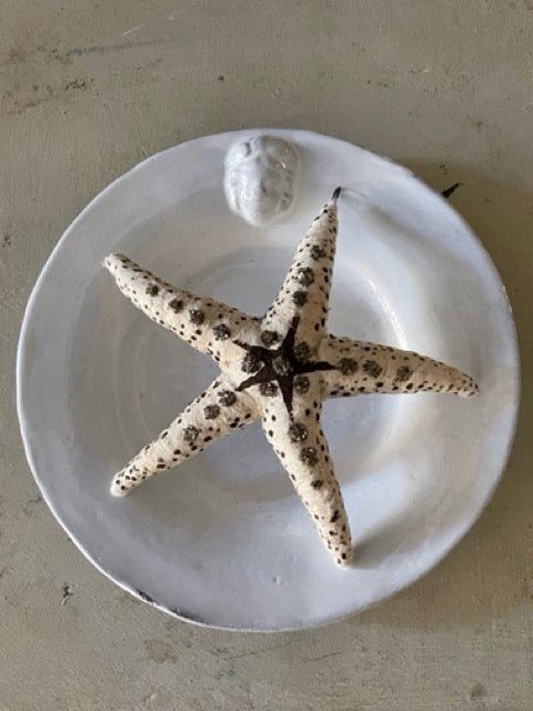 Glittered Starfish | Vintage by Crystal Spun Cotton Ornament - Bon Ton goods