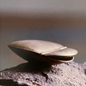 Gold Tortoise Pill Box | Ted Muehling
