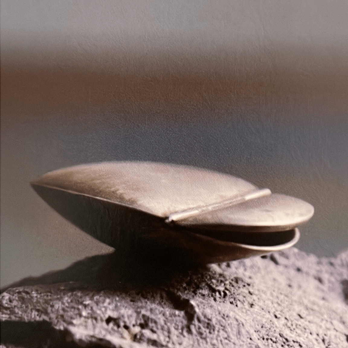Gold Tortoise Pill Box | Ted Muehling - Bon Ton goods