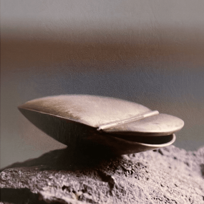 Gold Tortoise Pill Box | Ted Muehling - Bon Ton goods