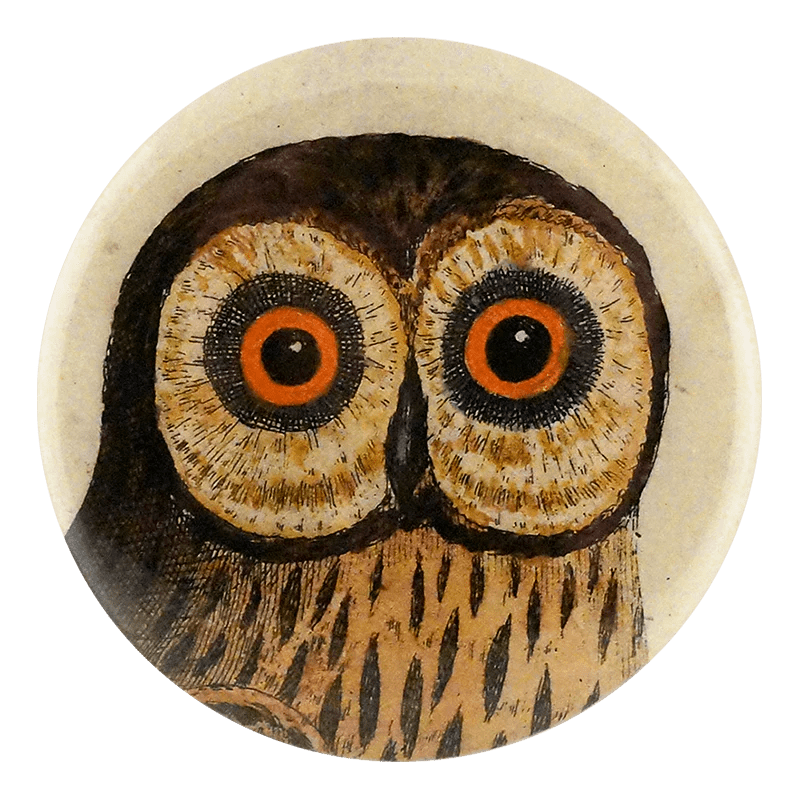 Great Brown Owl - Mirror & Button Pins | John Derian - Bon Ton goods