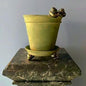 Green Snail Pot "Sneglepotte" | Handmade Erik Bendtsen Ceramic - Bon Ton goods